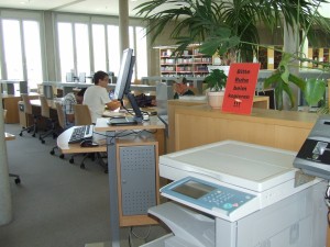 DSCF4155